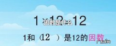 因数是什么