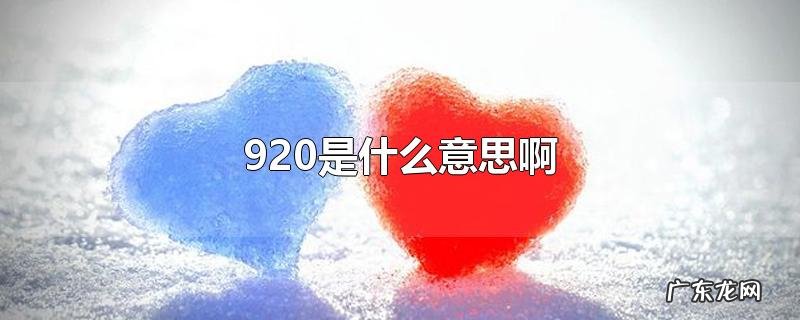 920是什么意思啊