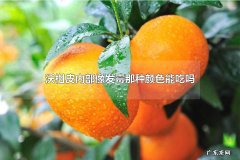 沃柑皮内部像发霉那种颜色能吃吗 沃柑皮上白色的是什么