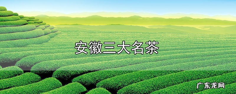 安徽三大名茶