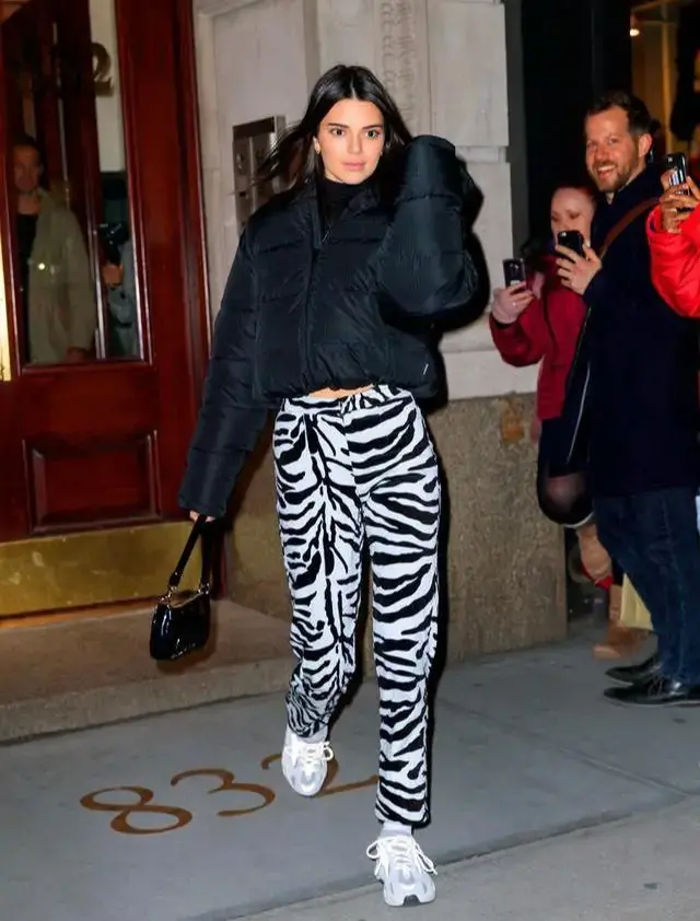 斑马纹图案 穿衣风水斑马纹图案讲究什么