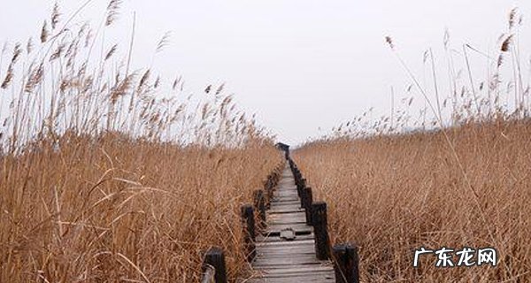 黄河长多少千米"最佳答案" 黄河有哪些支流