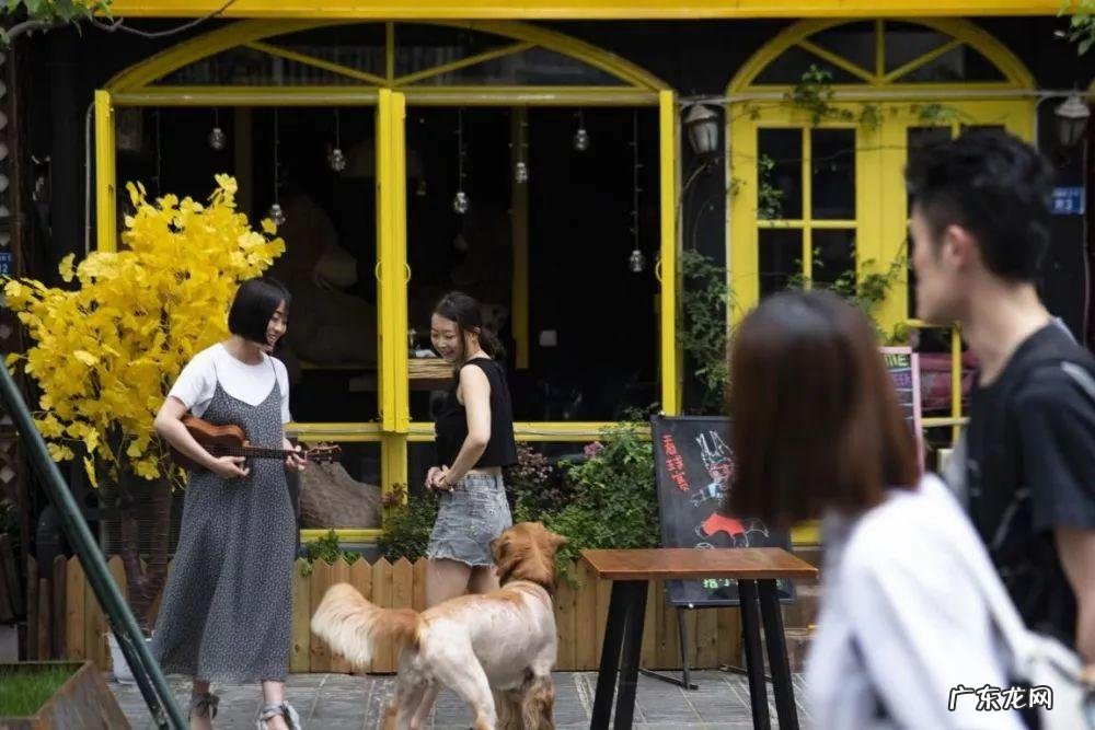 中国排名前三的音乐学院 成都音乐学校有哪些