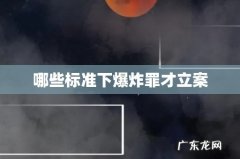 哪些标准下爆炸罪才立案