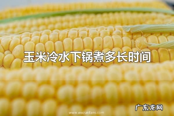 玉米冷水下锅煮多长时间 玉米有什么吃法