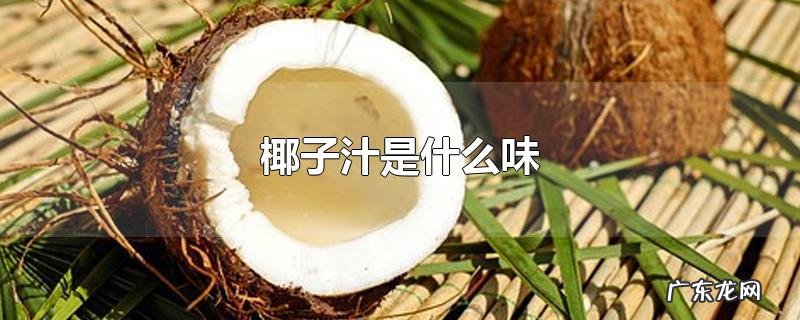 椰子汁是什么味