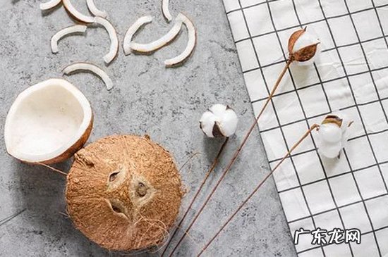 椰子汁是什么味