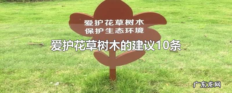 爱护花草树木的建议10条