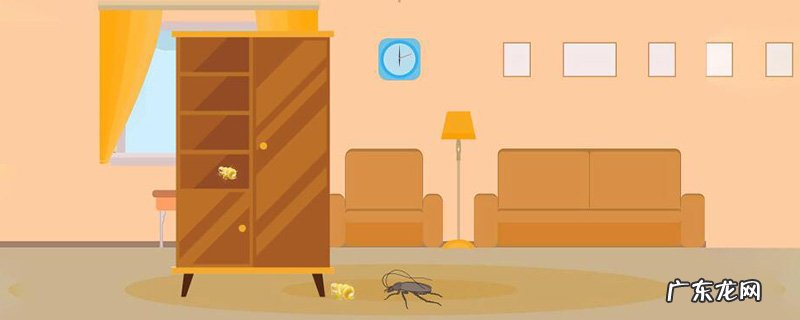 如何消灭蟑螂
