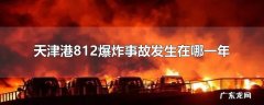 天津港812爆炸事故发生在哪一年