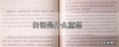 白话是什么意思
