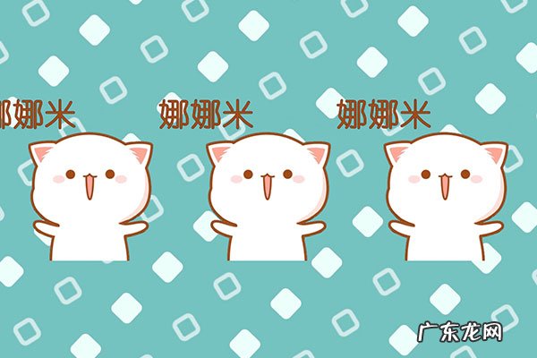 娜娜米什么意思