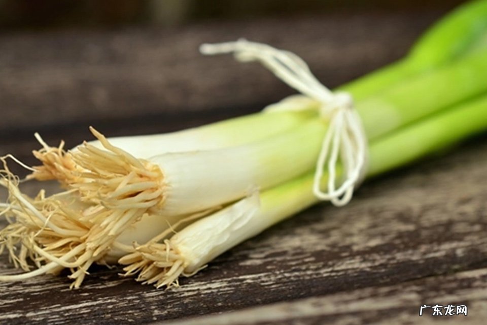 炖排骨汤的做法需要放什么调料 炖排骨可以加什么菜