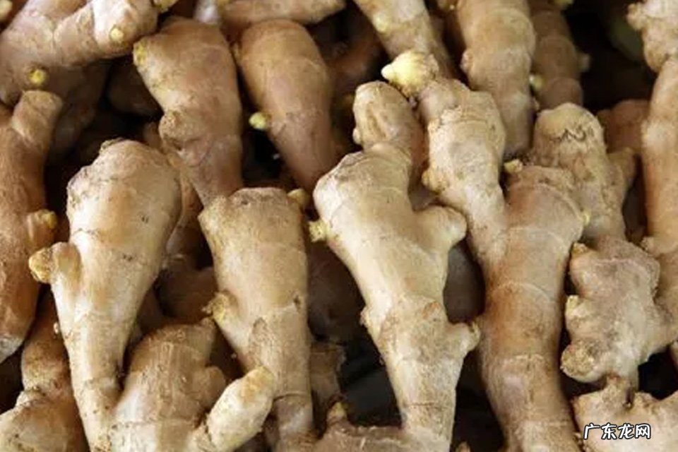 炖排骨汤的做法需要放什么调料 炖排骨可以加什么菜