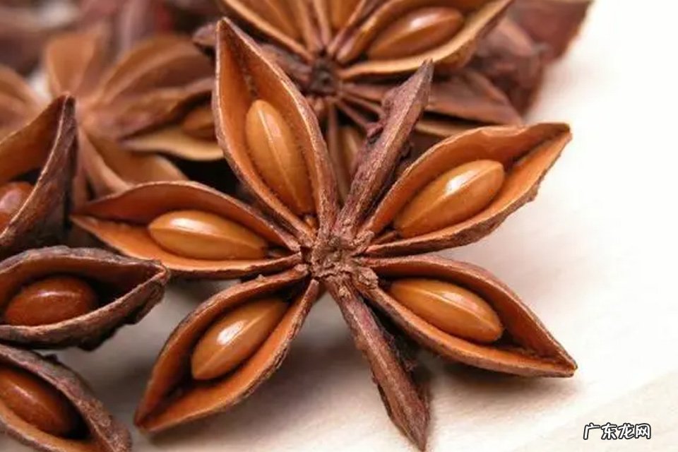 炖排骨汤的做法需要放什么调料 炖排骨可以加什么菜