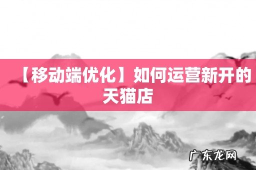 【移动端优化】如何运营新开的天猫店