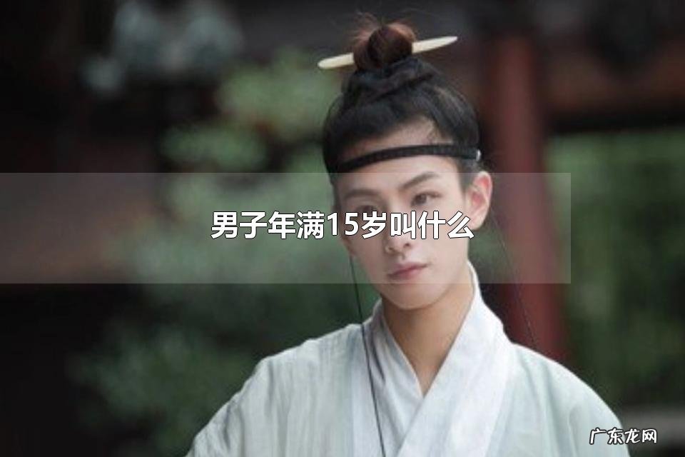 男子年满15岁叫什么 男子年满20岁叫什么