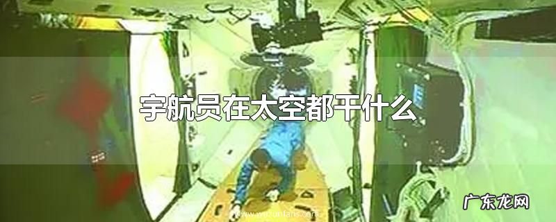 宇航员在太空都干什么