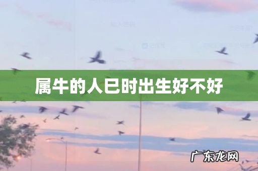 属牛的人巳时出生好不好