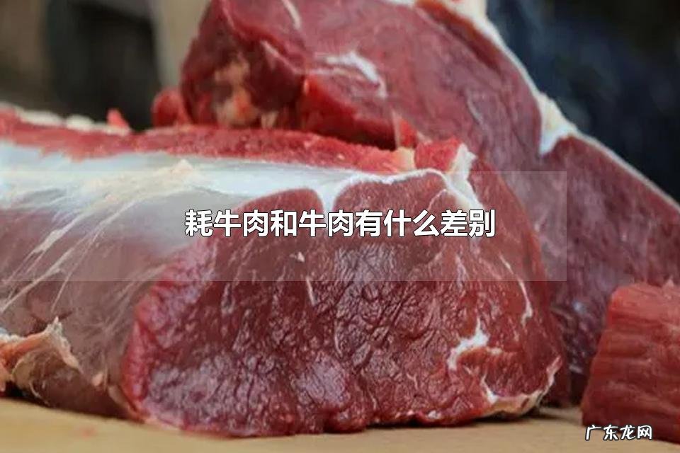 耗牛肉和牛肉有什么差别 耗牛肉的营养价值