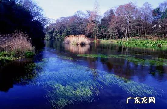 四川著名风水大师 四川理塘风水大事件真相