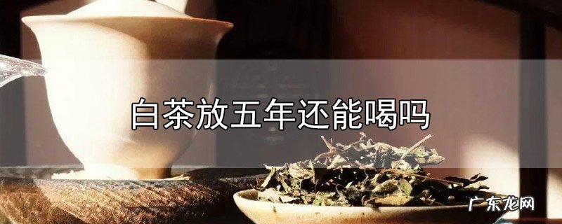 白茶放五年还能喝吗