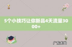 5个小技巧让你新品4天流量3000+