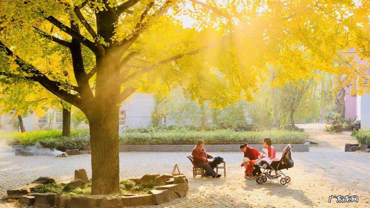 长兴煤矿在哪里 长兴煤山风水传说简介