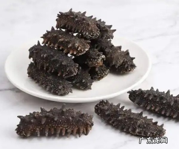 海参的挑选怎么挑 海参的挑选方式