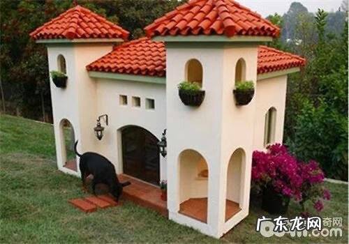 狗死了埋在自家院子里好不好 狗埋哪里风水好呢