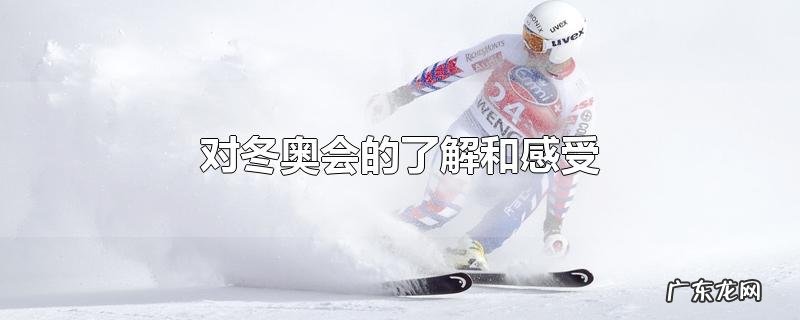 对冬奥会的了解和感受
