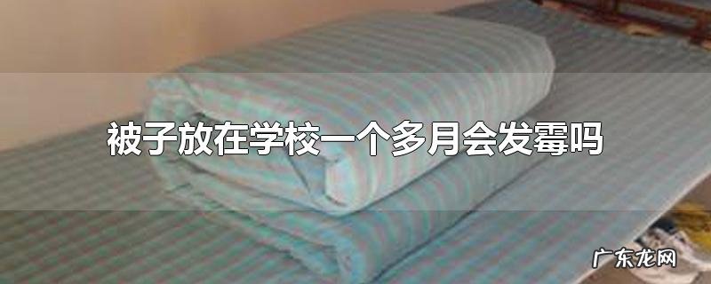 被子放在学校一个多月会发霉吗