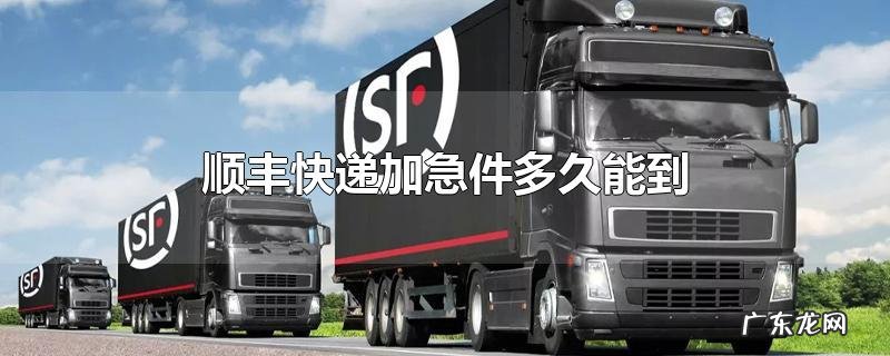 顺丰快递加急件多久能到