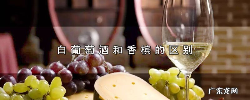 白葡萄酒和香槟的区别