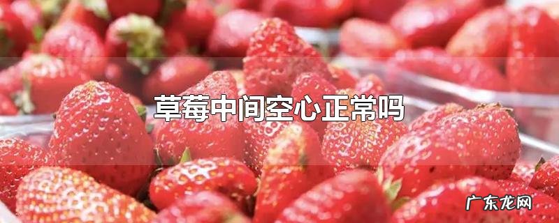 草莓中间空心正常吗