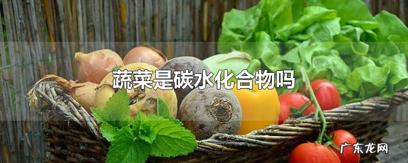 蔬菜是碳水化合物吗