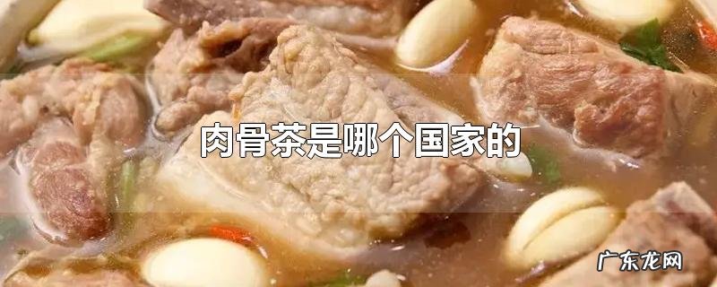 肉骨茶是哪个国家的