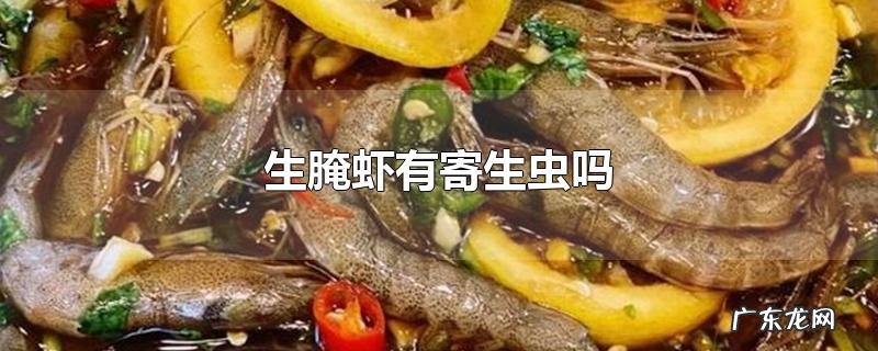 生腌虾有寄生虫吗