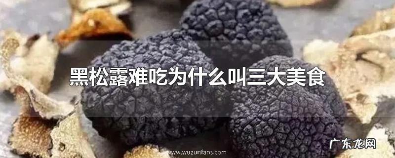 黑松露难吃为什么叫三大美食