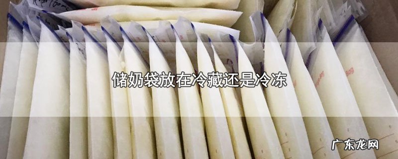 储奶袋放在冷藏还是冷冻