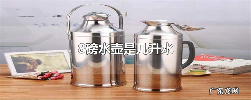 8磅水壶是几升水