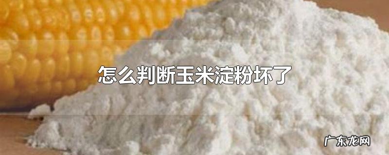 怎么判断玉米淀粉坏了