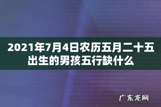 2021年7月4日农历五月二十五出生的男孩五行缺什么