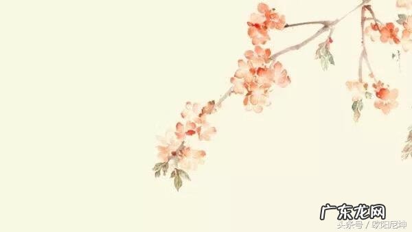 风水术数 风水术数四大金刚是谁