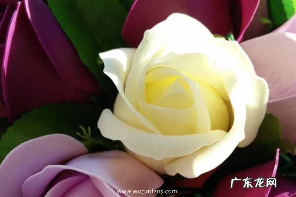 牛皮克拉斯意思