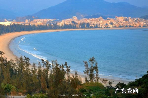 断联是什么意思