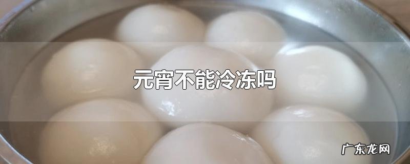 元宵不能冷冻吗