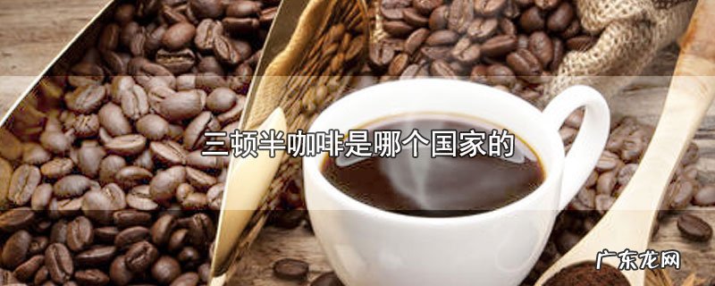 三顿半咖啡是哪个国家的