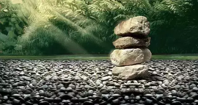 家里的干花和风水有关系吗 干花破坏家居风水怎么办