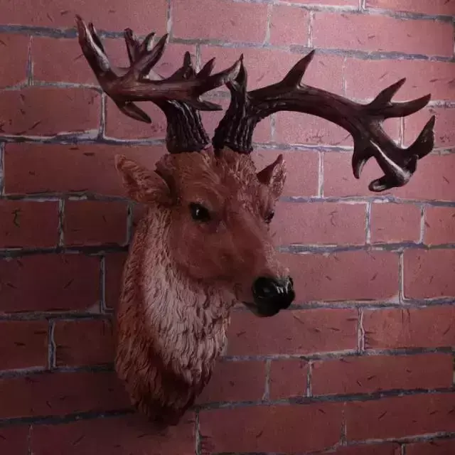 家里的干花和风水有关系吗 干花破坏家居风水怎么办